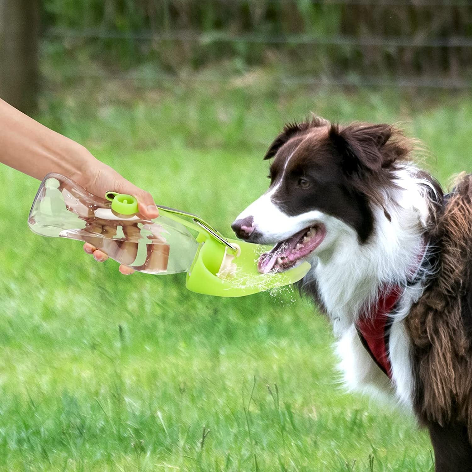 Portable Leak-Proof Pet Water Bottle with Bowl