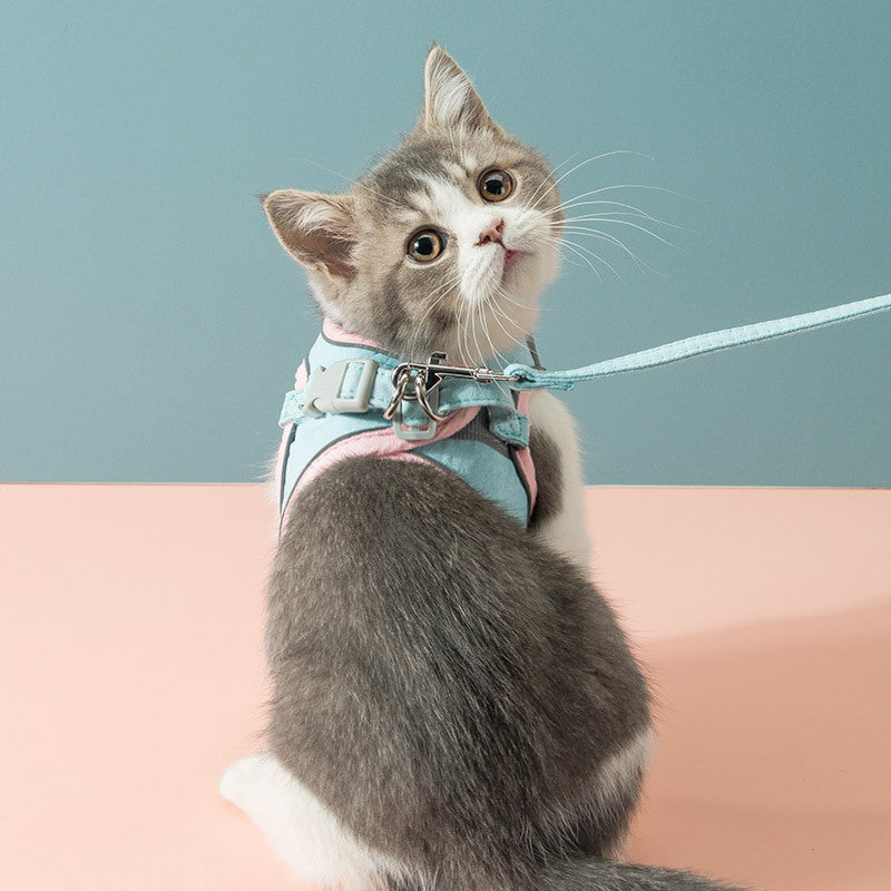 Cat Traction Rope Chest Strap with Reflective Design